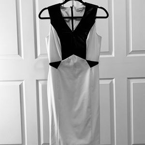 Calvin Klein Dress